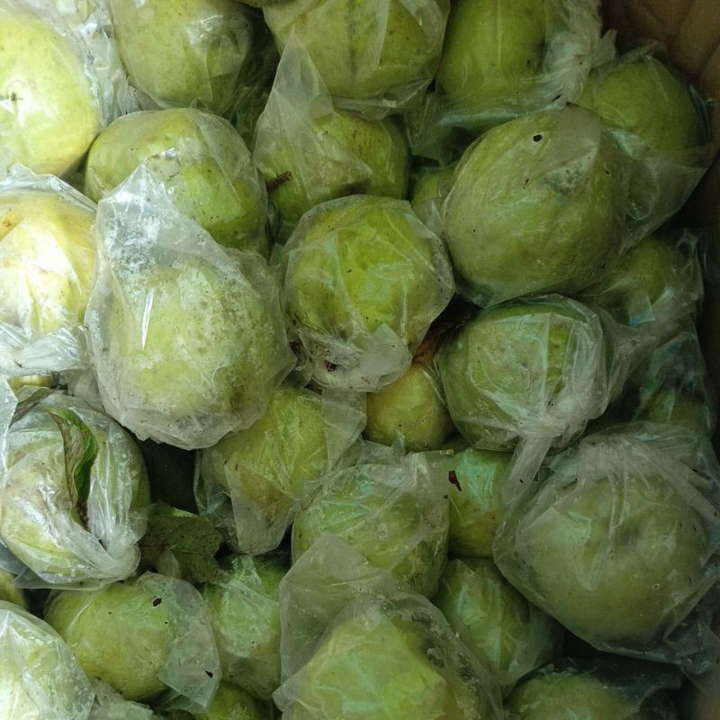 

Jambu kristal tanpa biji per/2kg