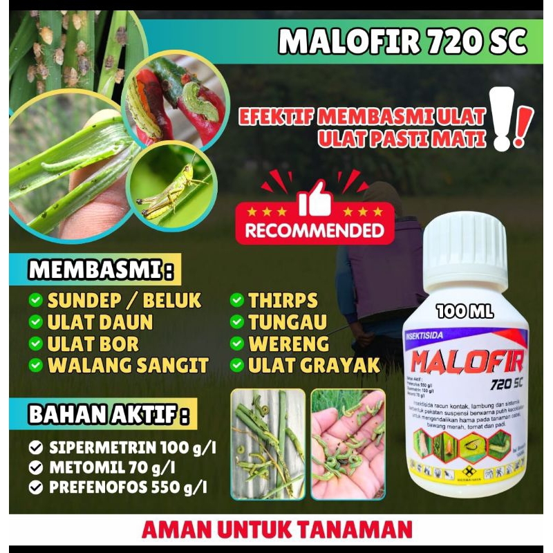 MALOFIR INSEKTISIDA pembasmi ulat
