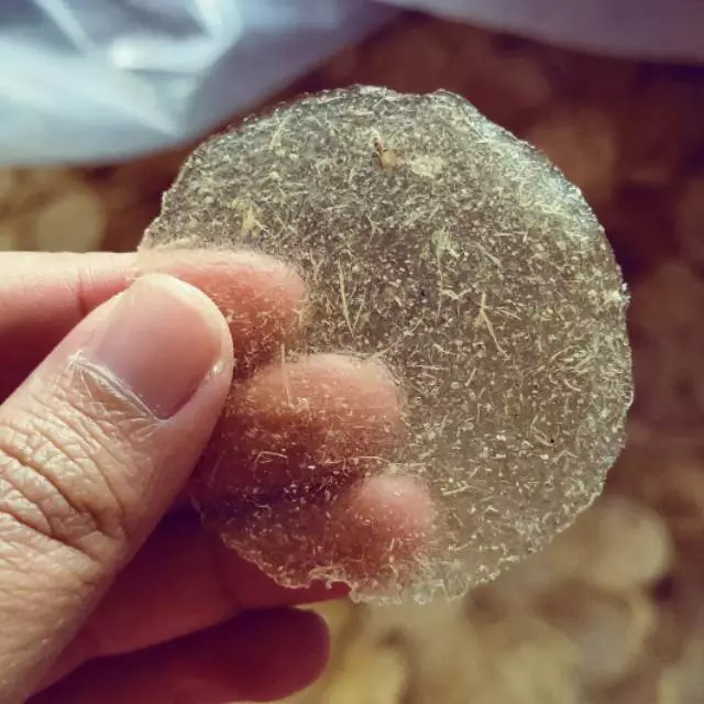 

Keripik Kaca Mentah Isi 1kg / Kripik Kaca Mentah/ KATRESNA
