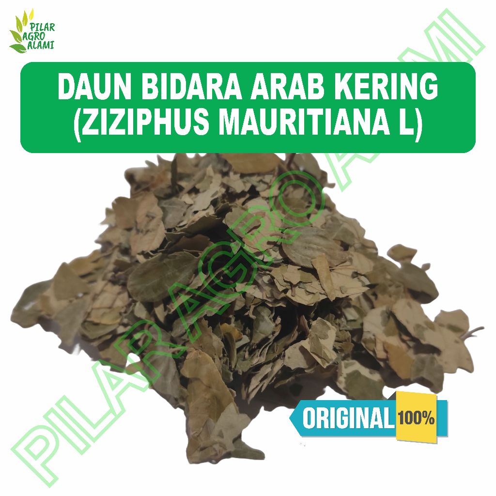 

Daun Bidara Arab Kering Original
