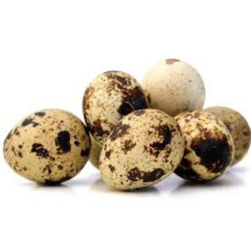 

Telor Puyuh mentah 6pc