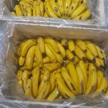 

pisang ambon 1 peti