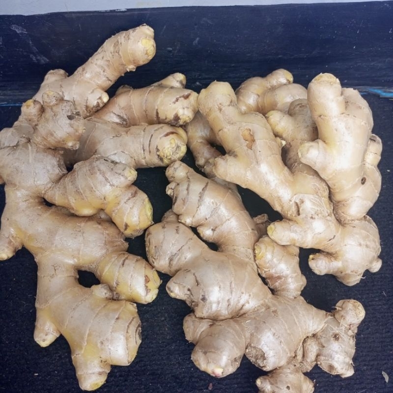 

jahe emprit paris pedas 1 kg