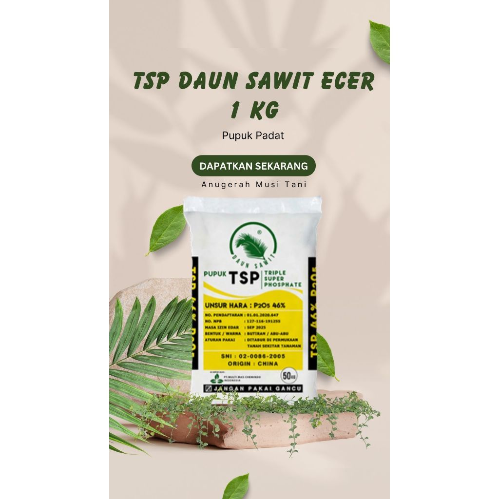 Pupuk TSP Posfat 46% Daun Sawit Eceran/Repack - Pupuk Padat