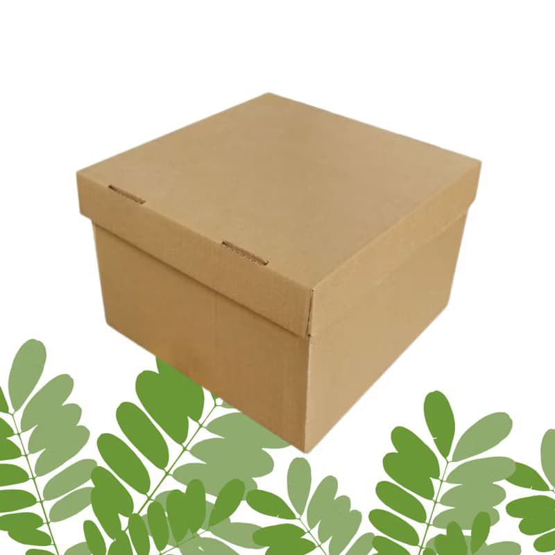 

Box Packing Besar Ala Drakor / Hidden Hantaran / Box Parcel 30x30x20 cm kardus serbaguna/file/barang/dus baju/parcel
