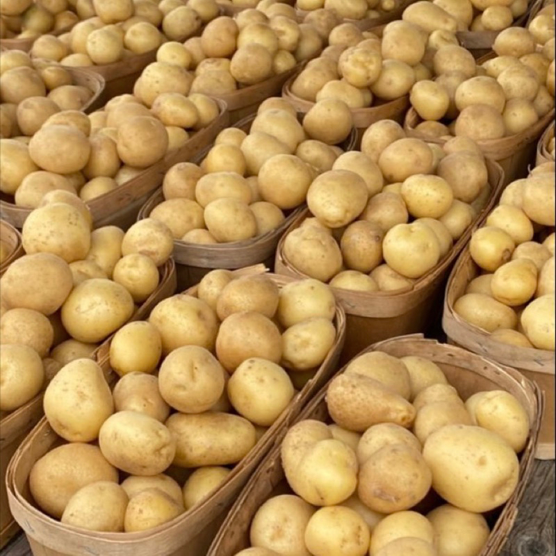 

Kentang Premium Sayuran Segar Super Market