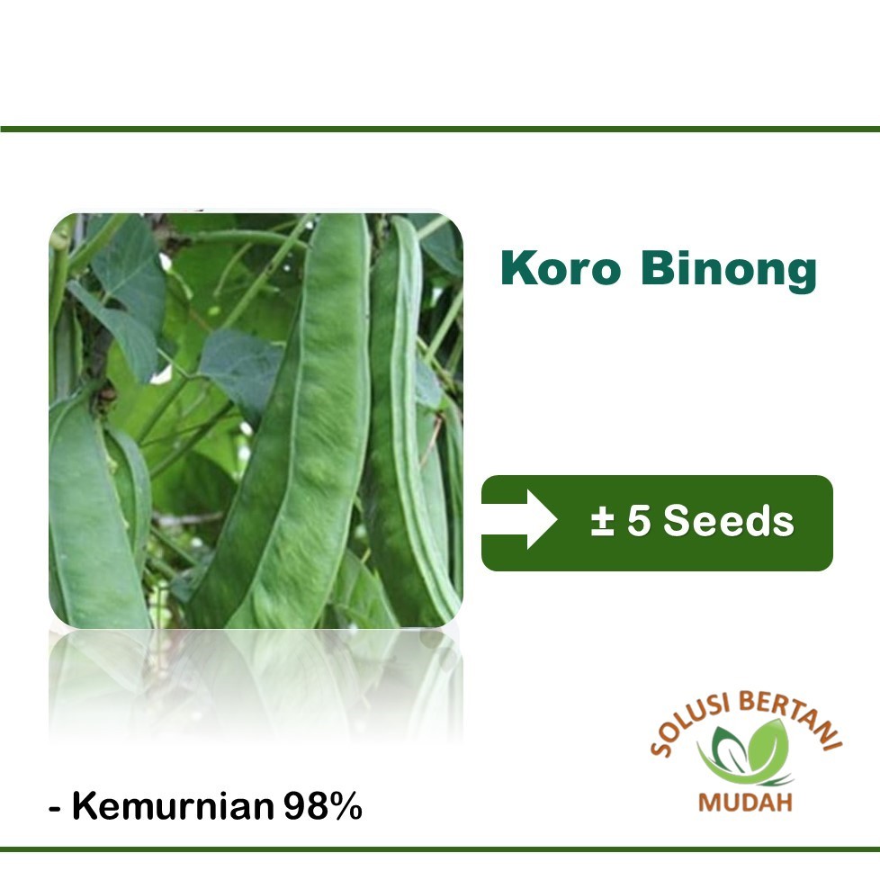 5 Biji - Bibit Benih Kacang Koro Binong Unggul