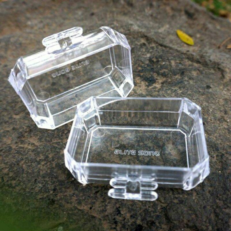 CEPUK MANDI BURUNG KECIL