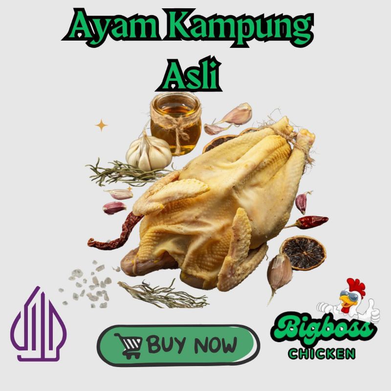 

Ayam kampung asli