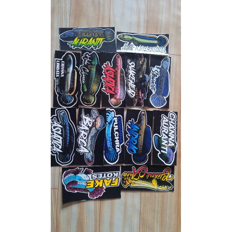 

STIKER CHANA