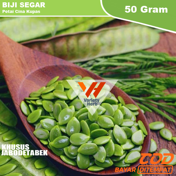 

Biji Petai Cina Kupas 50 Gram Untuk Masakan KHUSUS JABODETABEK
