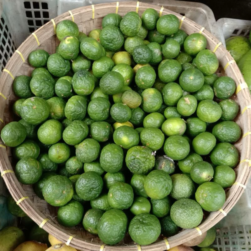 

Jeruk Limau fresh
