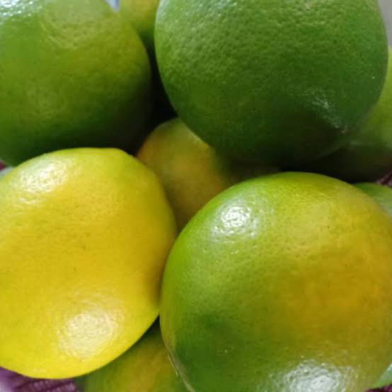 

jeruk lemon california hijau fress