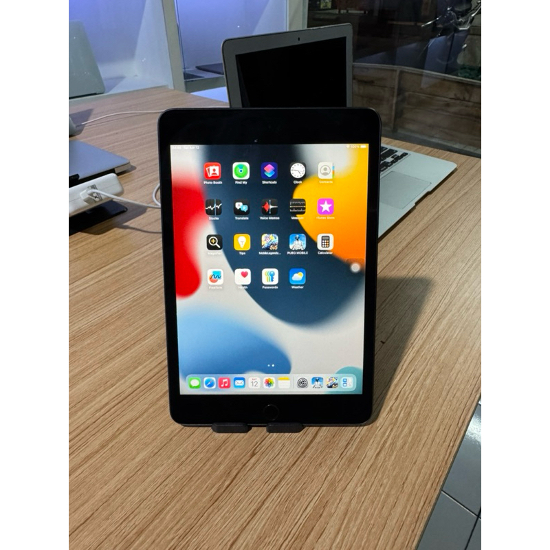 iPad Mini 5 256 GB Wifi Only Space Grey body mulus