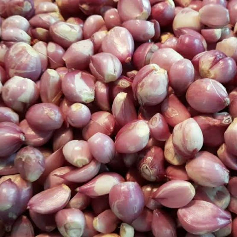 

bawang merah kupas super frash 1kg