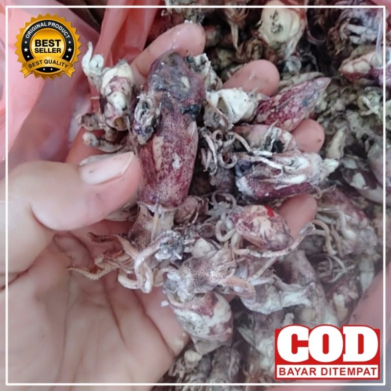 

Cumi Asin zize campur Khas Cilacap Berkualitas 250g 500g 1kg