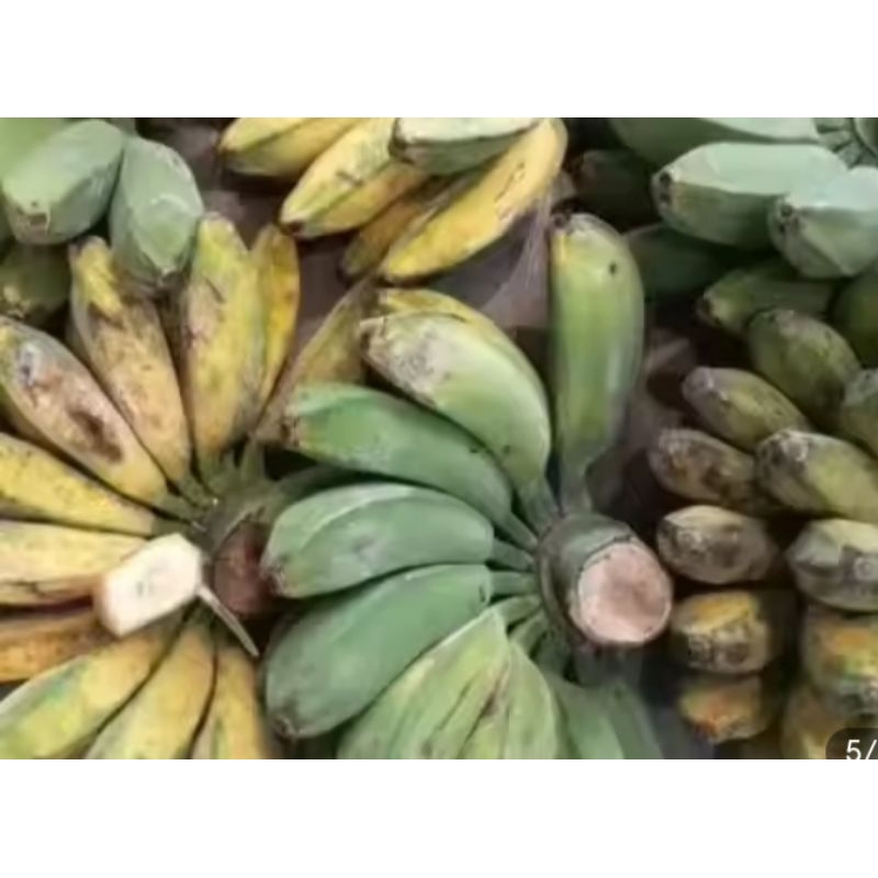 

Pisang kepok 1kG