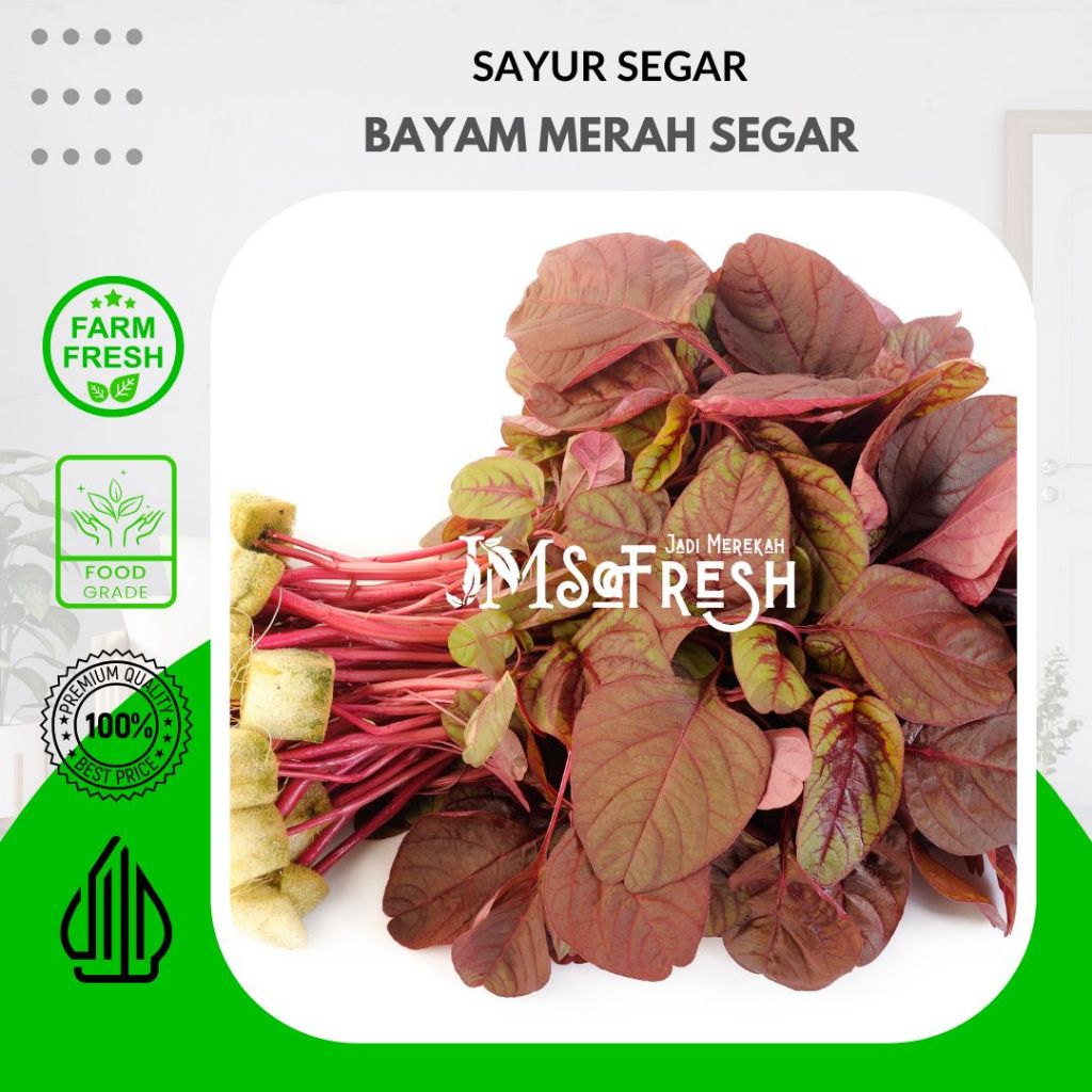 

[JM SoFresh] Bayam Ungu / Bayam Merah Per ikat +-500Gram
