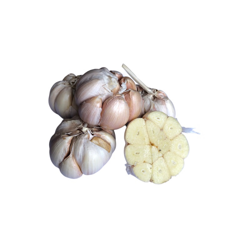 

Bawang putih
