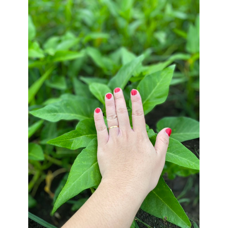 HB super whitening bahan dari produk BPOM