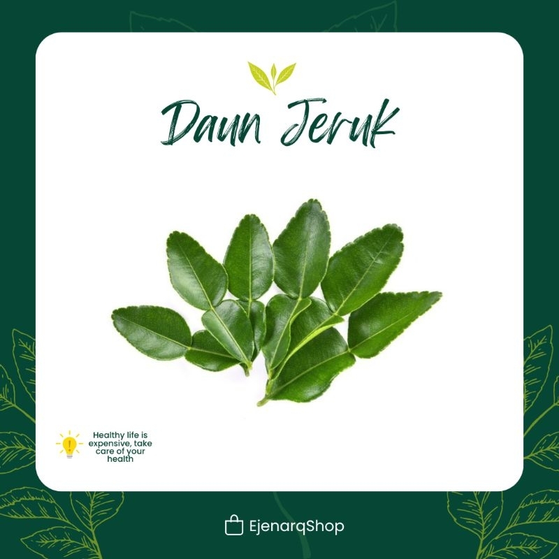 

Daun Jeruk segar fresh perlembar