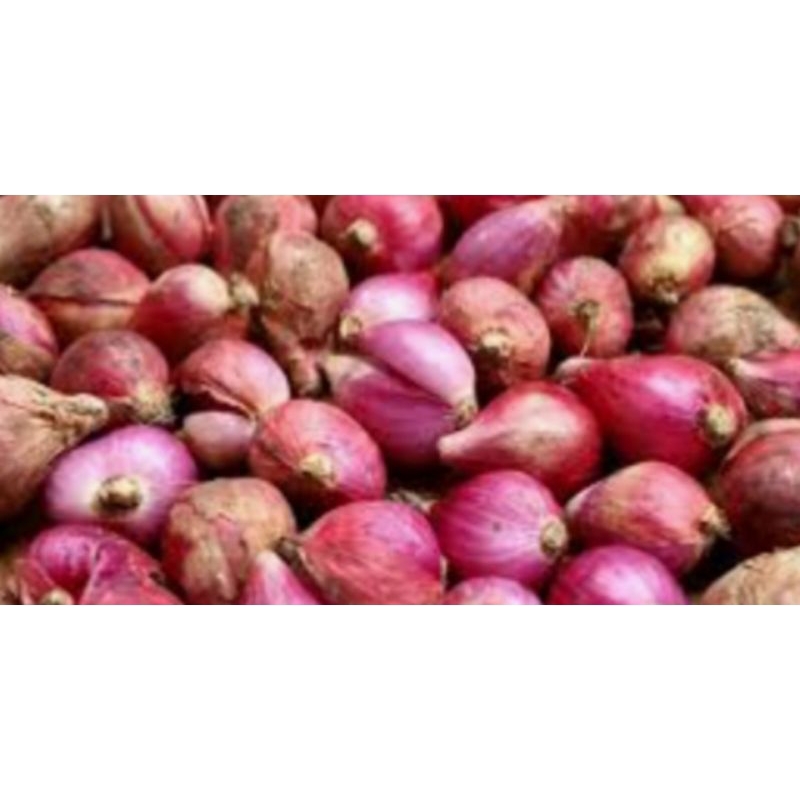 

BAWANG MERAH SEDANG RP 28 .000 / KG