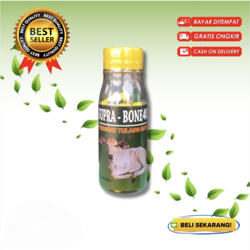 SUPRA BONE 40 OBAT HEWAN PENGUAT TULANG OTOT SARAF OBAT LUMPUH PINCANG TURUN URAT SAPI KAMBING