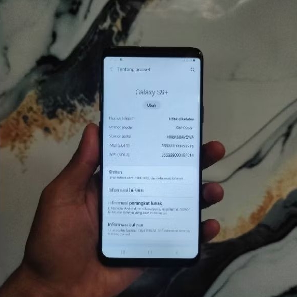 SAMSUNG S9+ S9 PLUS 6/256 SECOND ORI SEIN (GANTIAN LCD LOKAL)