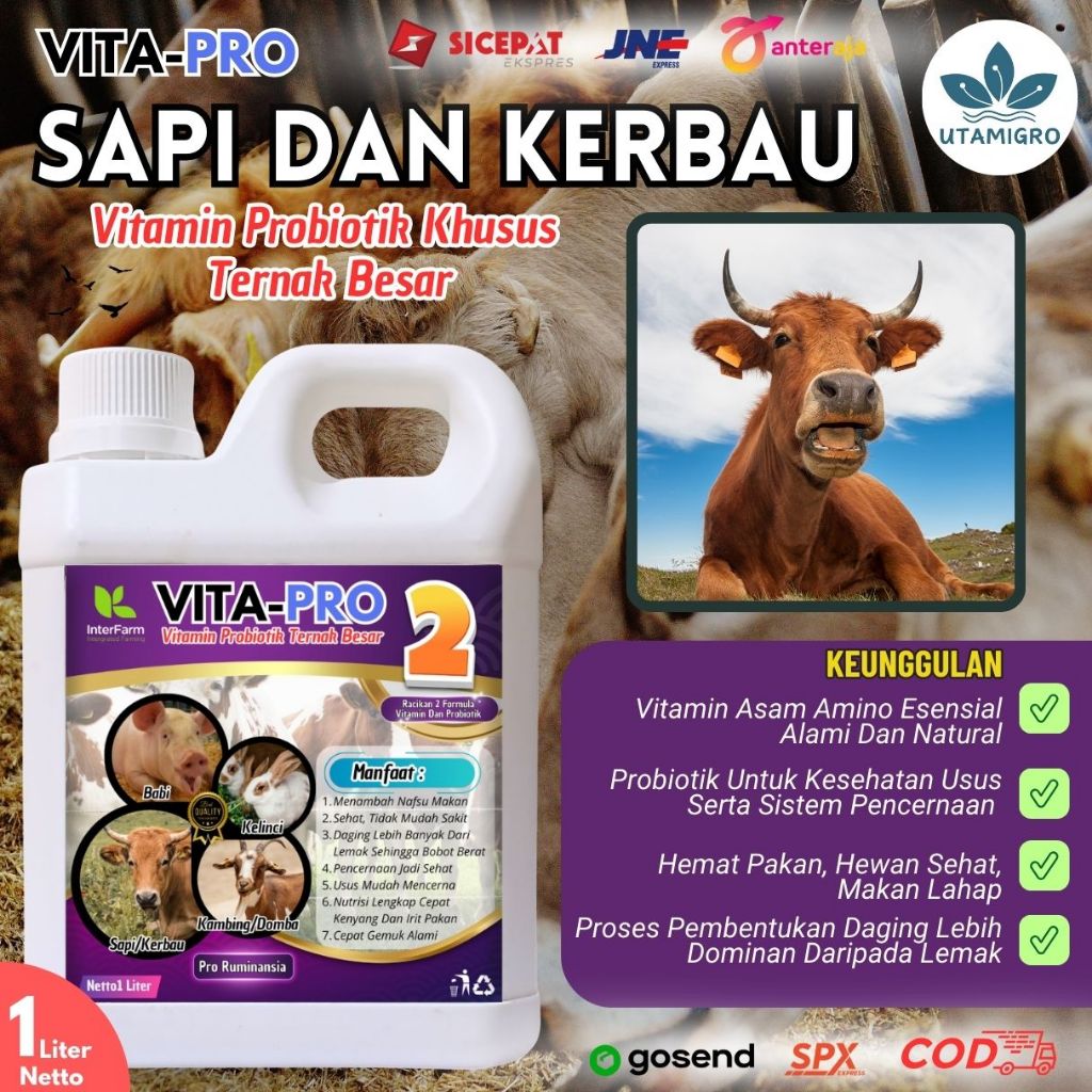 Obat penggemuk sapi/ Vitamin penggemuk sapi paling cepat/ jamu sapi penggemuk sapi INTERFARM 1 liter