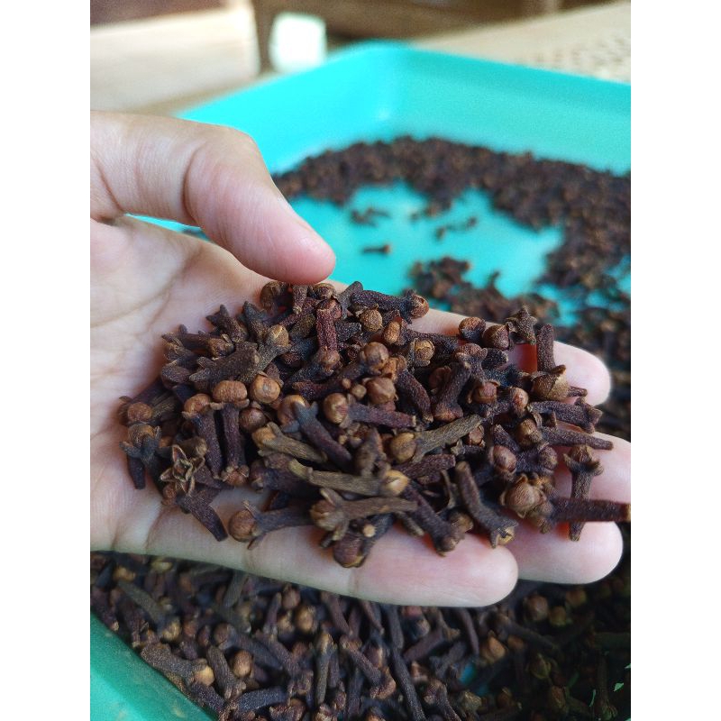 

cengkeh kering 100gr, 250gr