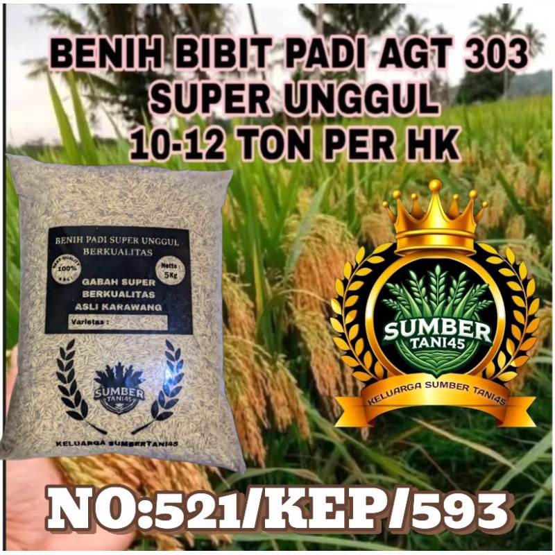 BENIH PADI 303 AGT KUALITAS SUPER UNGGUL10.KG).