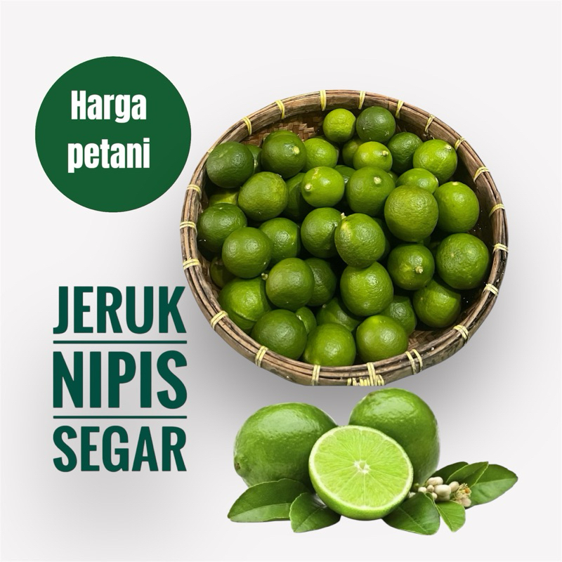 

Buah jeruk nipis segar harga petani