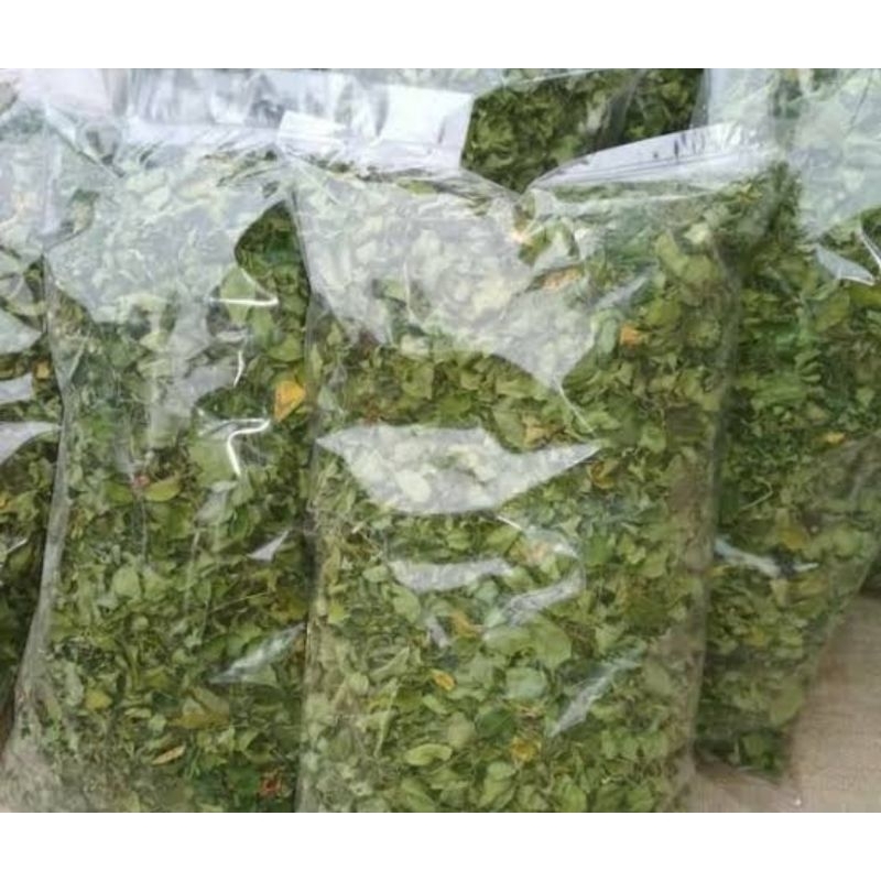 

Jual daun kelor kering organik perbungkus