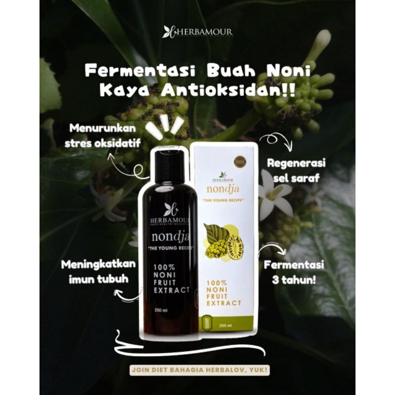 

Nondja Sari Buah Noni By Herbamour