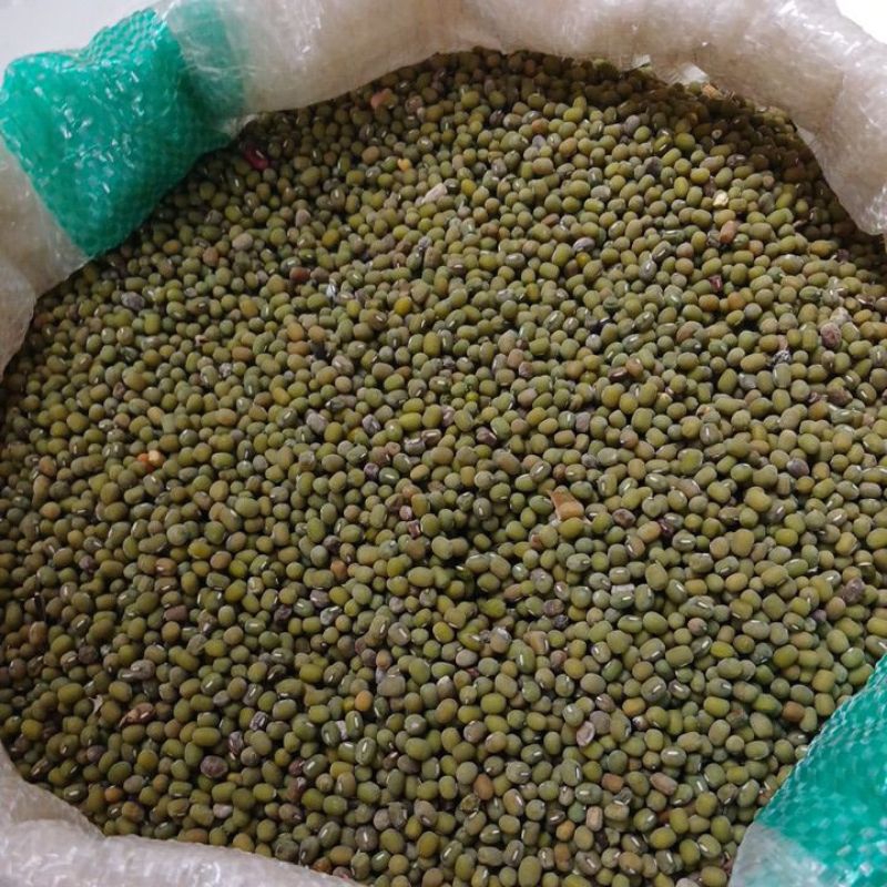 

(1 kg) Kacang hijau / Kacang hijau lokal / kacang ijo