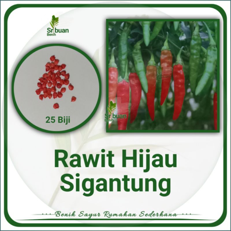 25 Biji Benih Cabai Rawit Hijau Sigantung Cabai Rawit Merunduk