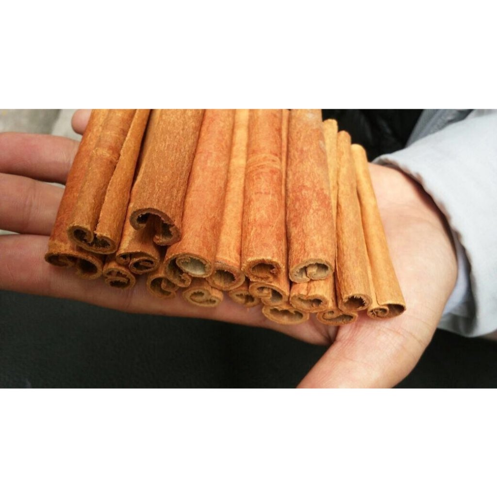 

Kayu Manis SP Stick Cutting 10cm grade AA
