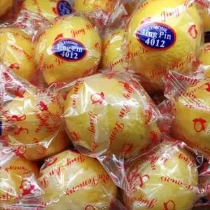 

Jeruk Lemon Import 500g