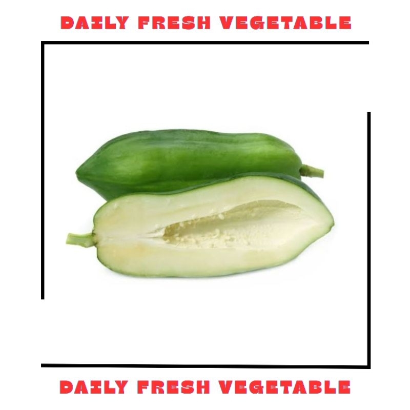 

Pepaya Muda Fresh 1 Buah