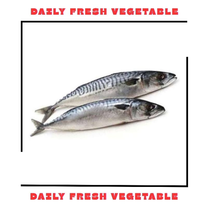 

Ikan Salem Fresh 500gr
