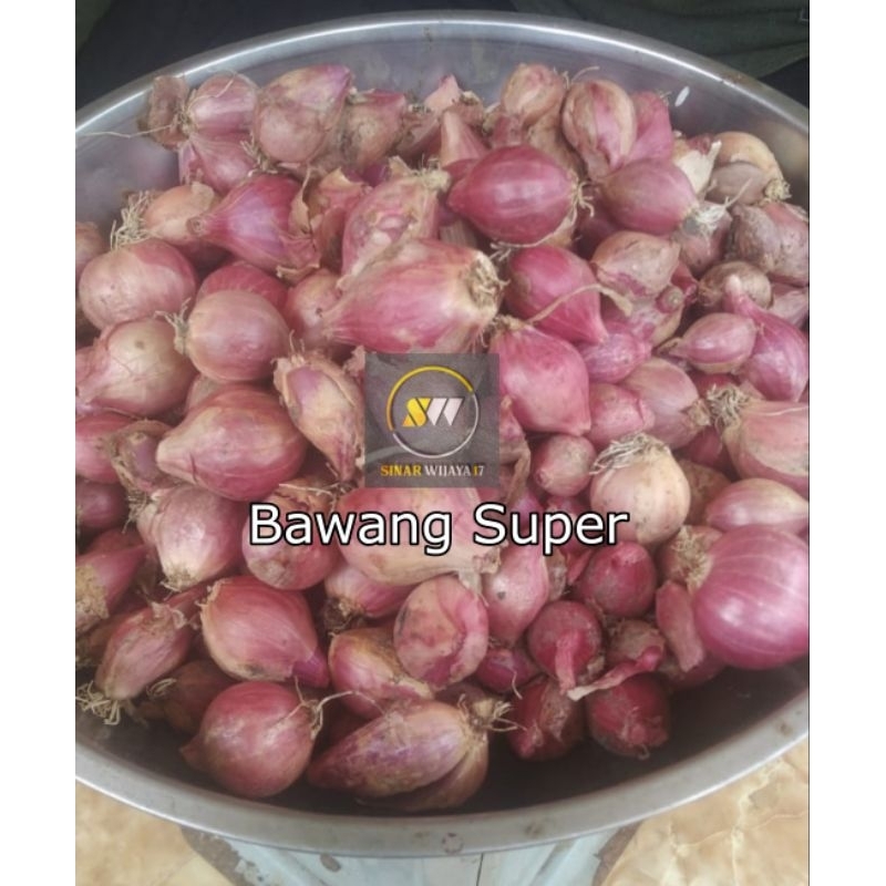 

Bawang Merah Super Asli Probolinggo Ukuran 1 Kg