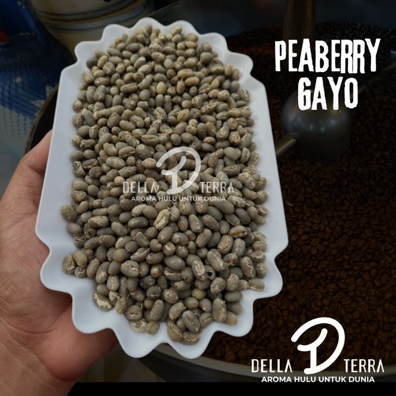 

GREEN BEAN ARABIKA GAYO PROCESS PEABERRY / LANANG GRADE 1 - 1 KG