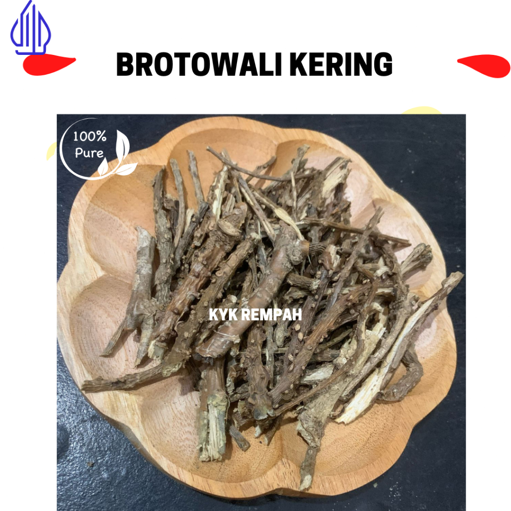 

Brotowali Kering Bratawali Kering Premium