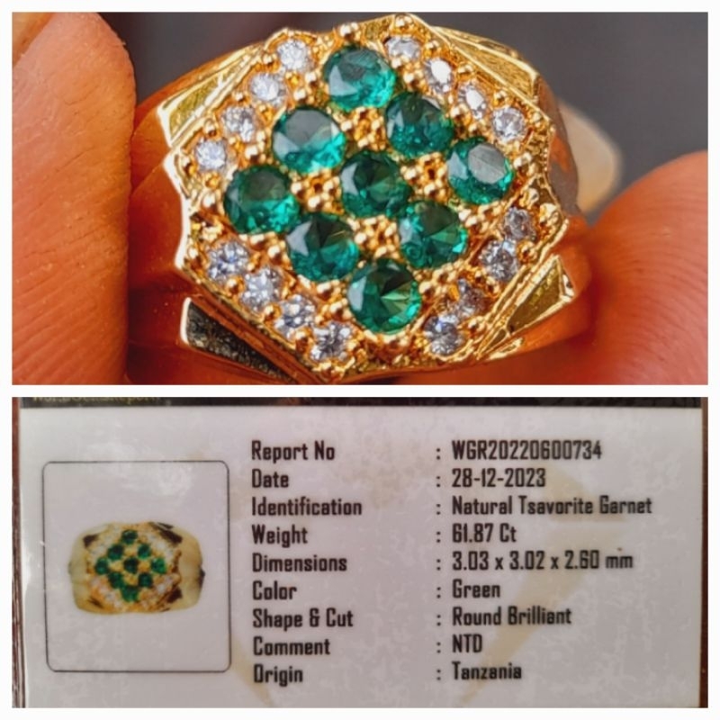 Natural Tsavorite Garnet Green Model Stempel