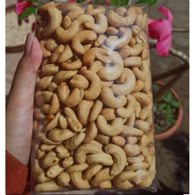 

kacang biji mente