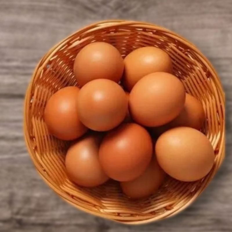

Telur Omega 10 Pcs