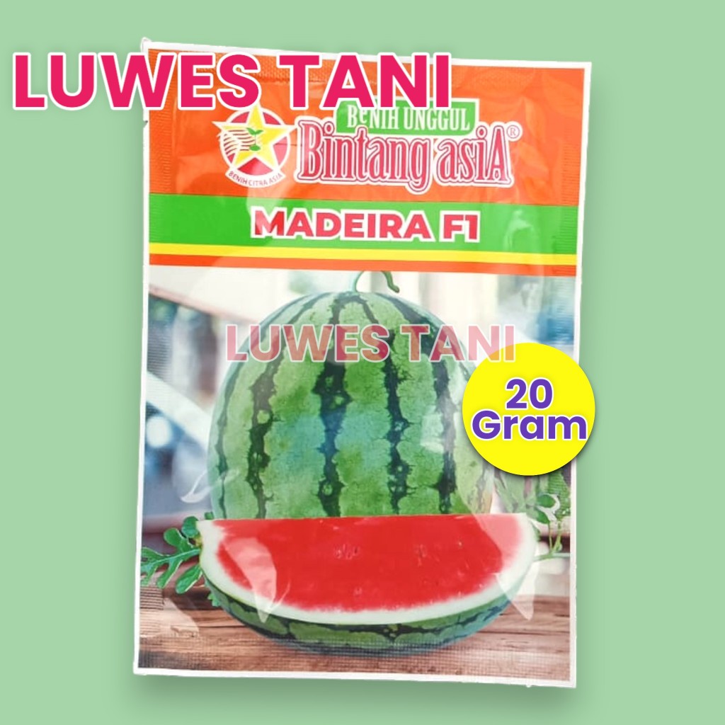 Benih semangka madeira F1 20gr saset