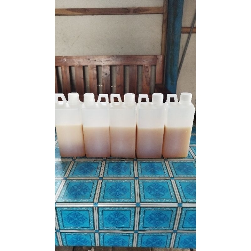 

madu bunga multiflora kemasan 1kg