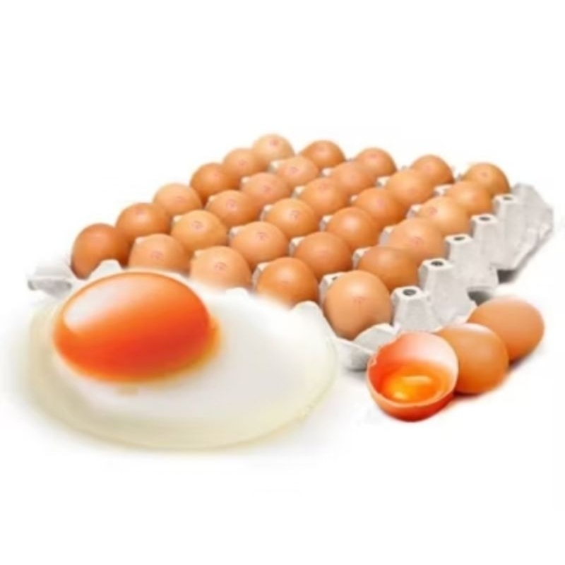 

telur ayam omega