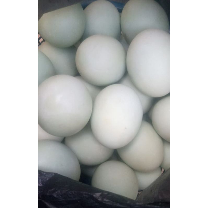 

Telur Asin Bapak Dakup